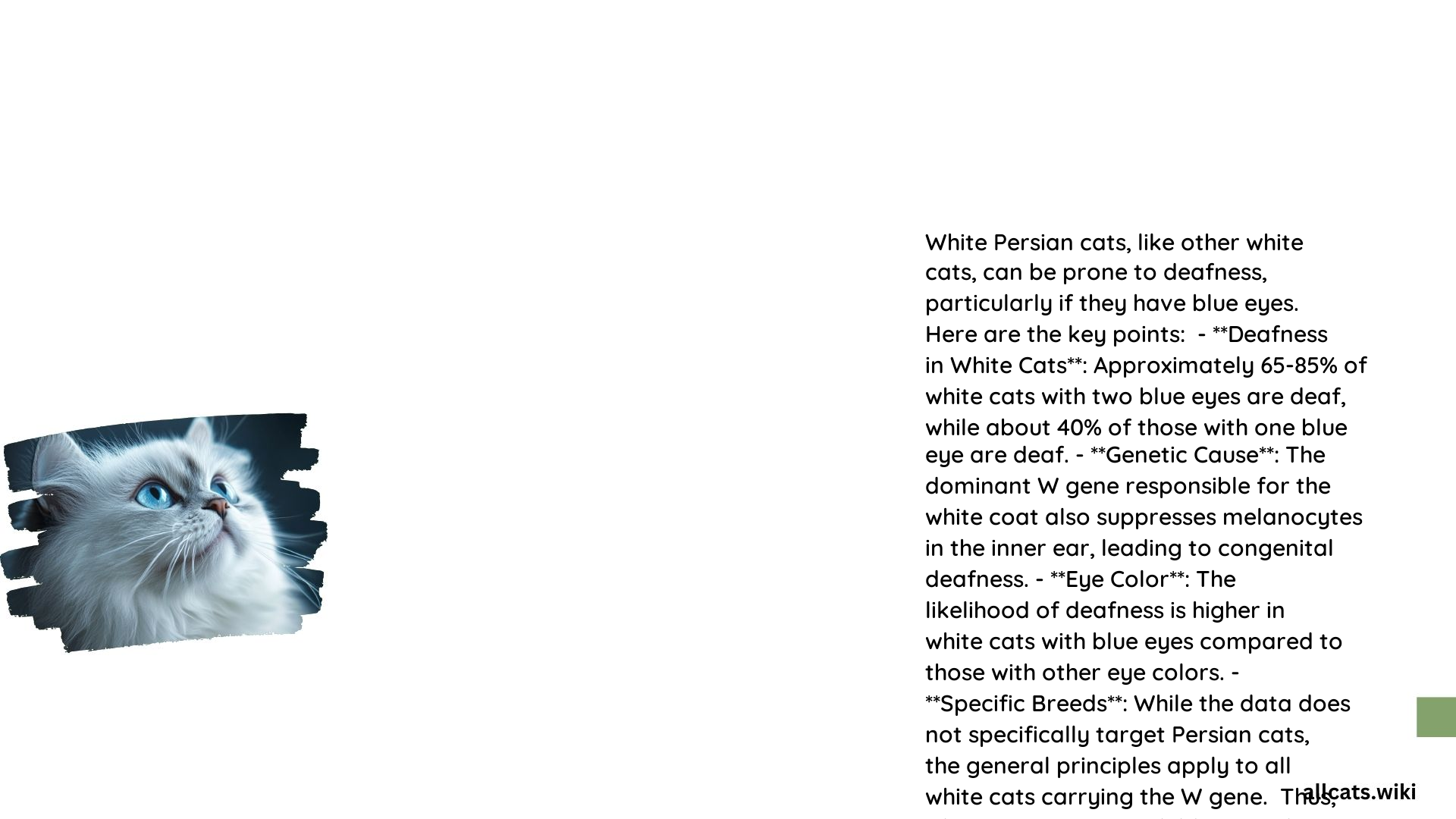 Are White Persian Cats Deaf