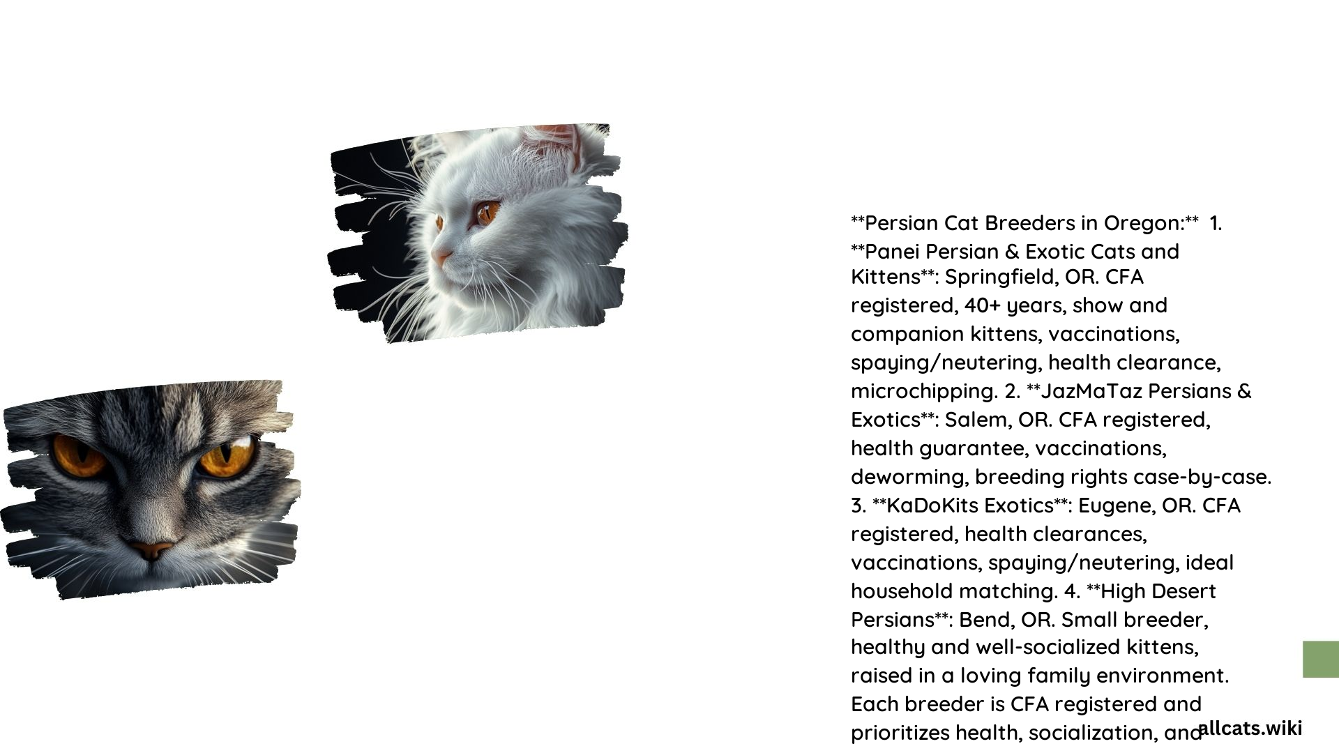 Persian Cat Breeders Oregon