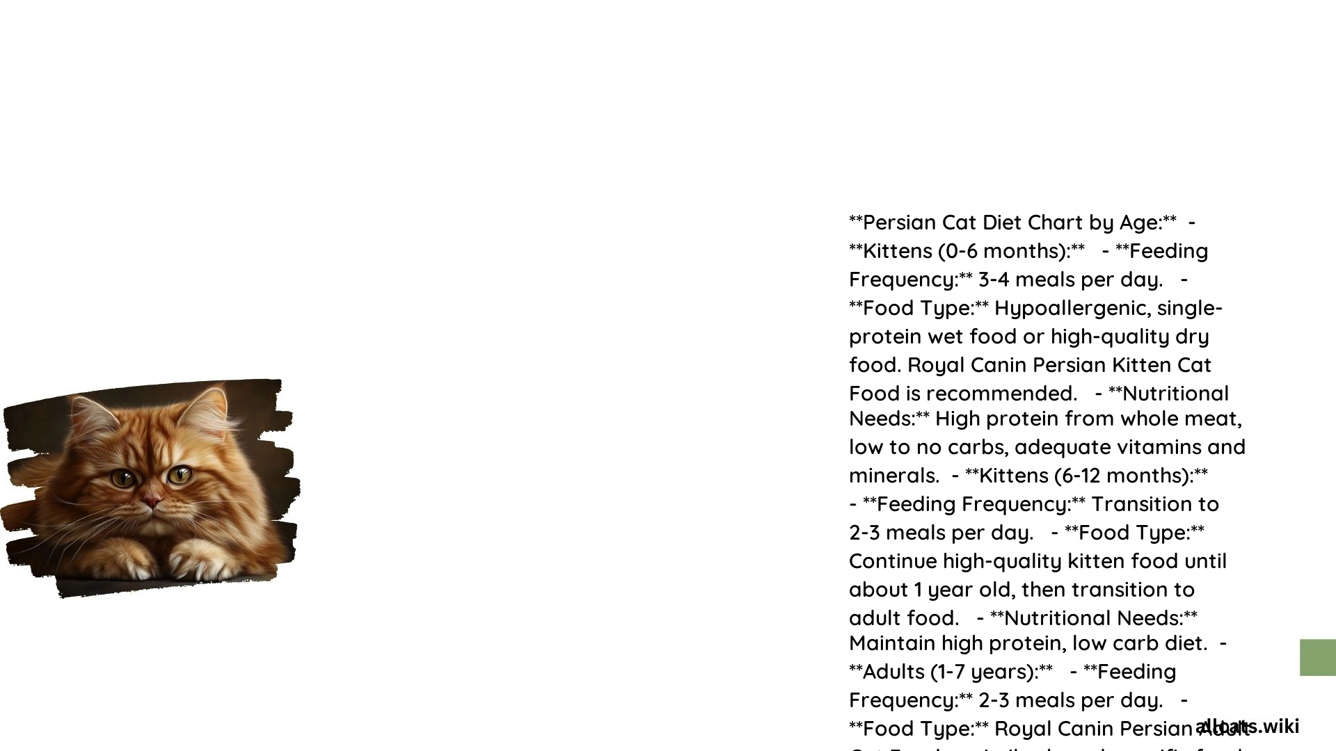 Persian Cat Diet Chart by Age