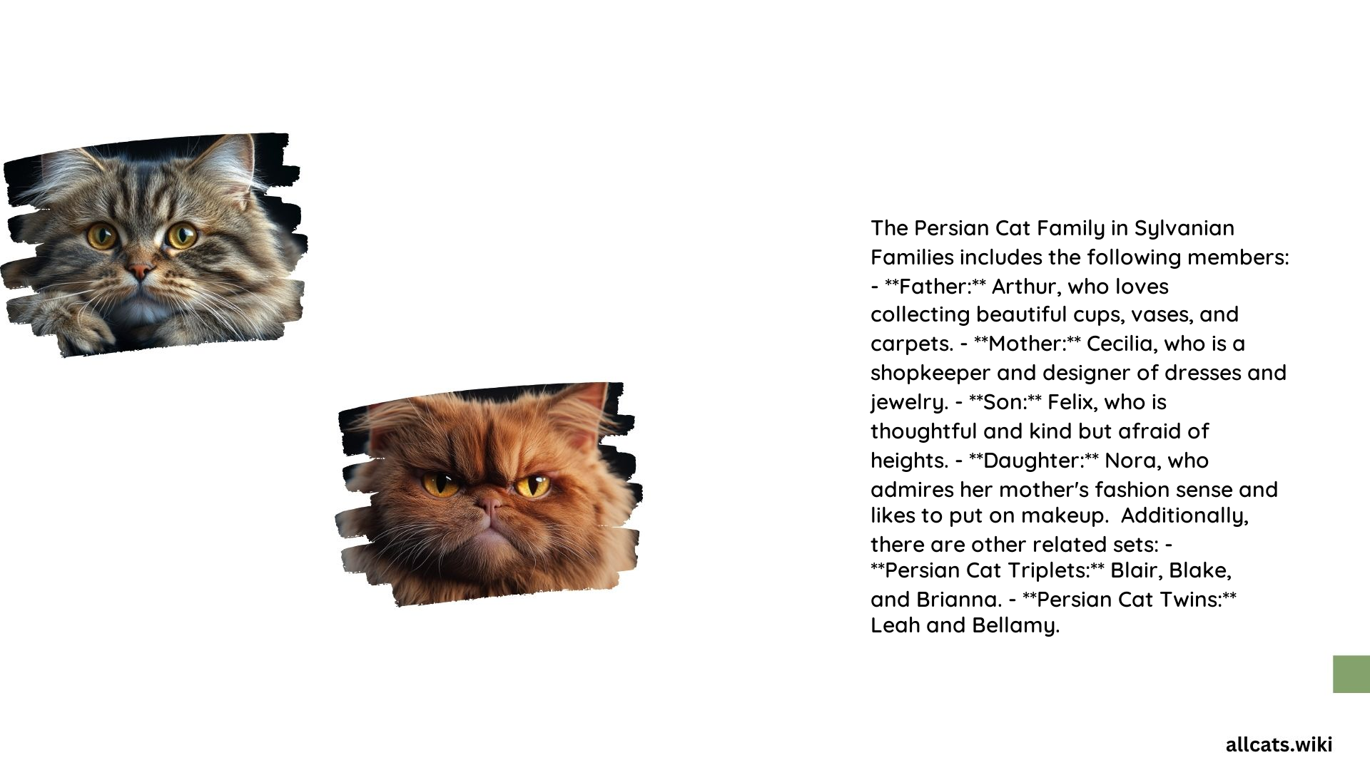 Persian Cat Family Sylvanian Names