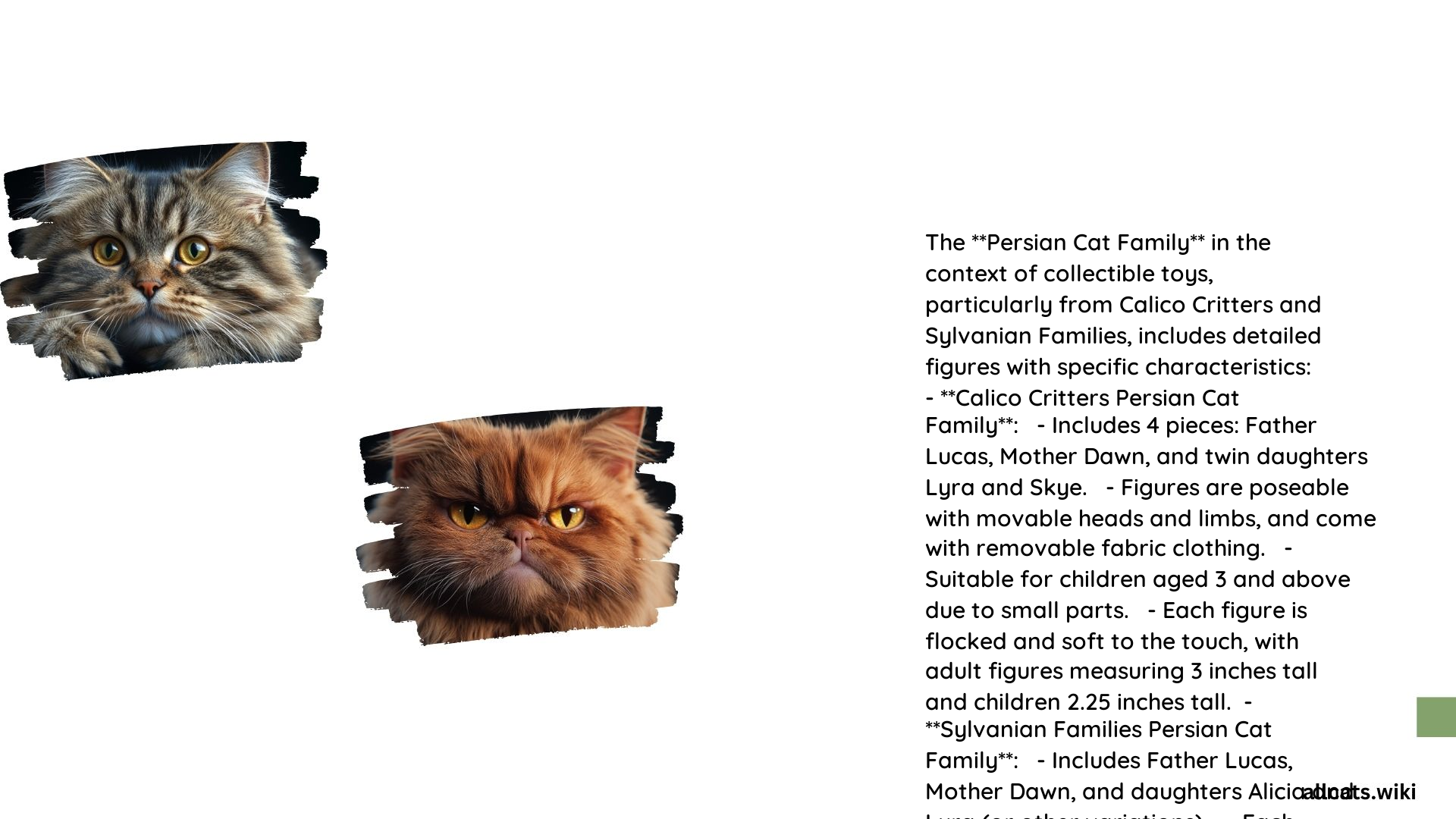 Persian Cat Family