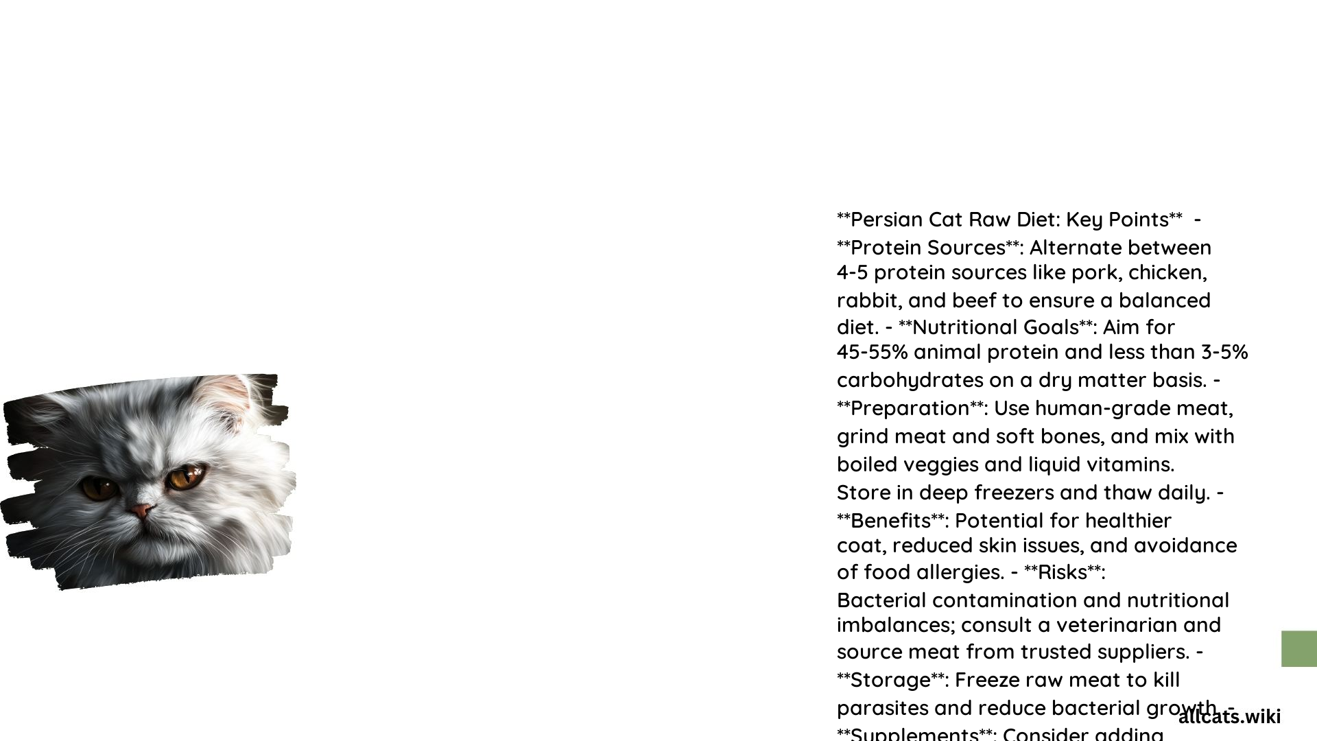 Persian Cat Raw Diet