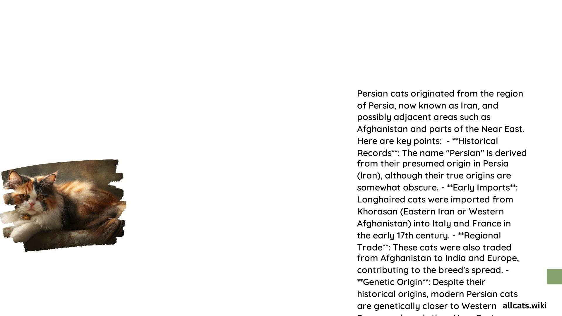 Where Did Persian Cats Originate From